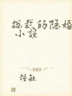 总裁的隐婚罪妻 小说