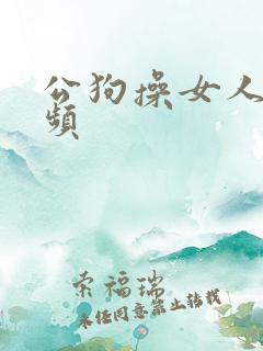 公狗操女人的视频