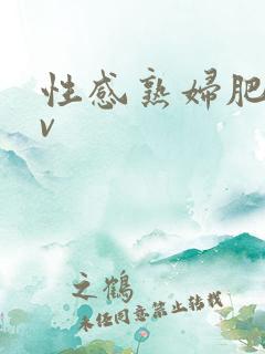 性感熟妇肥穴av