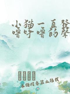 小猫一直发出呼噜呼噜的声音是什么原因