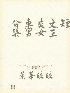 公车爽文短篇合集男女主