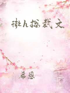 微h总裁文