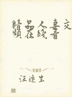 精品人妻交换视频在线看