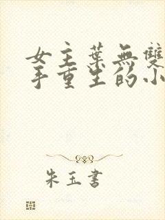 女主叶无双是杀手重生的小说