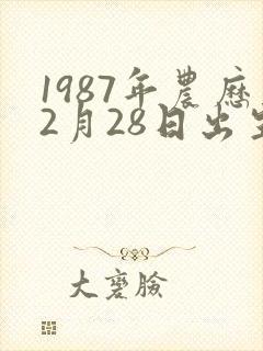 1987年农历2月28日出生命运