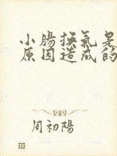 小肠换气是什么原因造成的