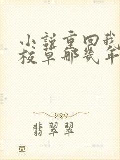 小说重回我爸当校草那几年
