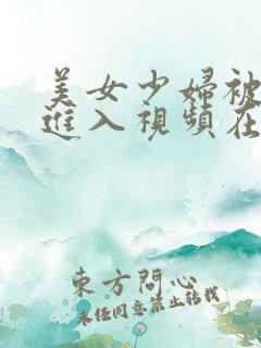 美女少妇被猛烈进入视频在线观看