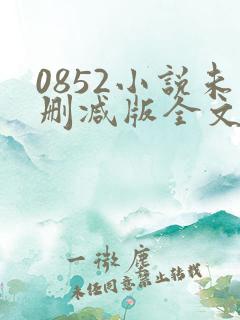 0852小说未删减版全文免费阅读