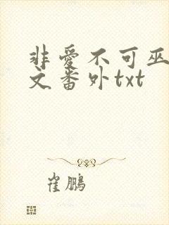 非爱不可巫哲全文番外txt