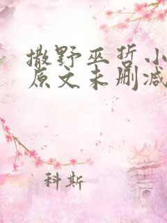 撒野巫哲小说 原文未删减