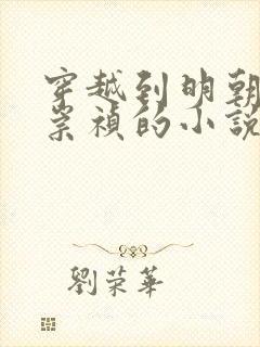 穿越到明朝成为崇祯的小说