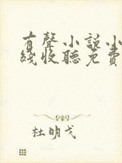 有声小说小苮儿线收听免费收听