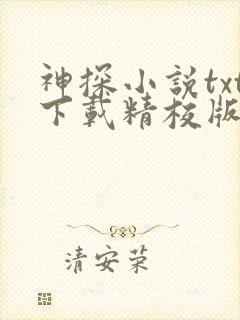 神探小说txt下载精校版