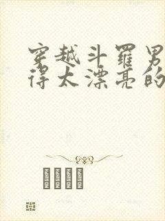 穿越斗罗男主长得太漂亮的小说