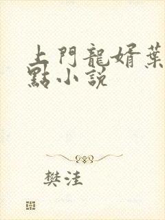 上门龙婿叶辰顶点小说