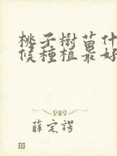 桃子树苗什么时候种植最好