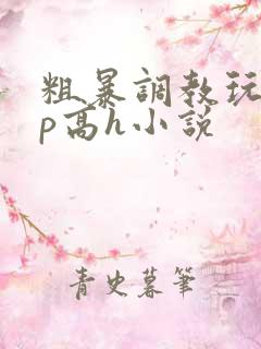 粗暴调教玩弄np高h小说
