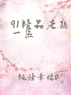 91精品老熟妇一区