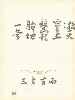 一胎双宝:总裁爹地宠上天