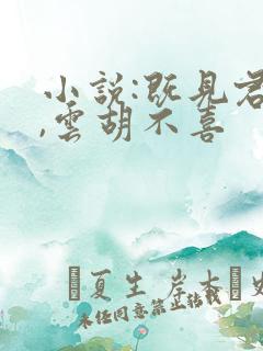 小说:既见君子,云胡不喜