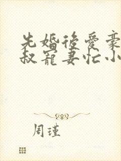 先婚后爱豪门大叔宠妻忙小说