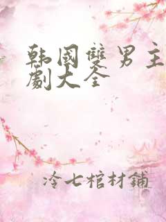 韩国双男主电视剧大全