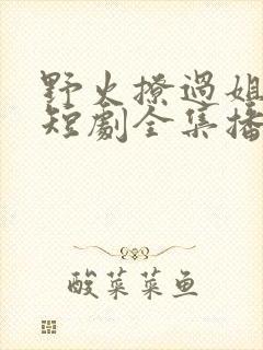 野火撩过姐姐心短剧全集播放免费观看