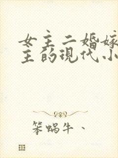 女主二婚嫁给男主的现代小说