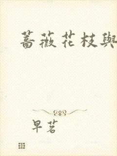 蔷薇花枝与灰烬