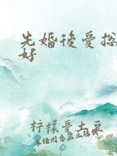 先婚后爱总裁你好