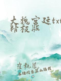 大魏宫廷txt精校版
