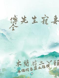 傅先生宠妻无度全