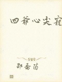 四爷心尖宠