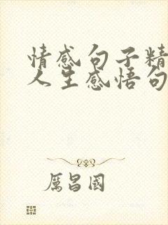 情感句子精辟的人生感悟句子