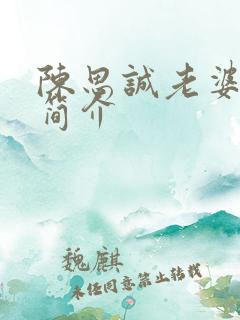 陈思诚老婆个人简介