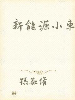 新能源小车租赁
