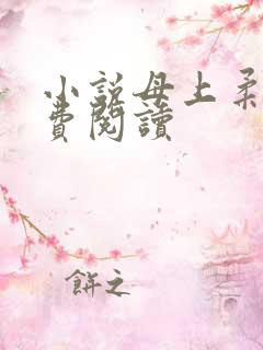 小说母上柔情免费阅读