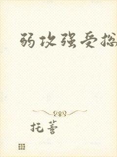 弱攻强受总攻