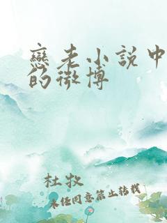 恋老小说中老头的微博