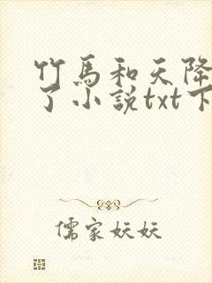 竹马和天降he了小说txt下载