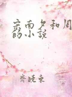 宋南夕和周京泽的小说