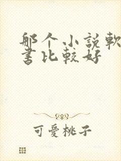 那个小说软件听书比较好