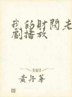 我的财阀老婆短剧播放