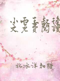 小雨王叔后续全文免费阅读小说