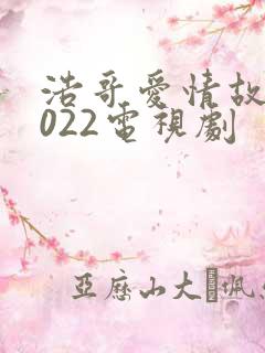浩哥爱情故事2022电视剧