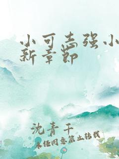 小可志强小说最新章节