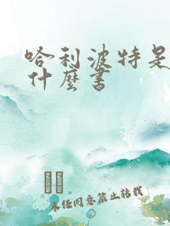 哈利波特是一本什么书