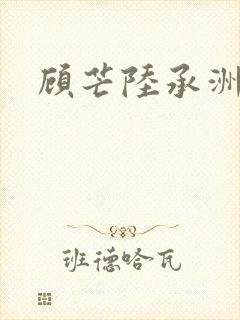 顾芒陆承洲正版
