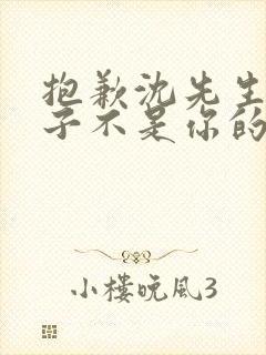 抱歉沈先生,孩子不是你的全集短剧